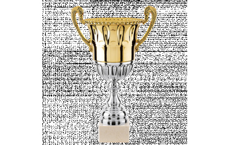 COUPE DE SOLIDARITE